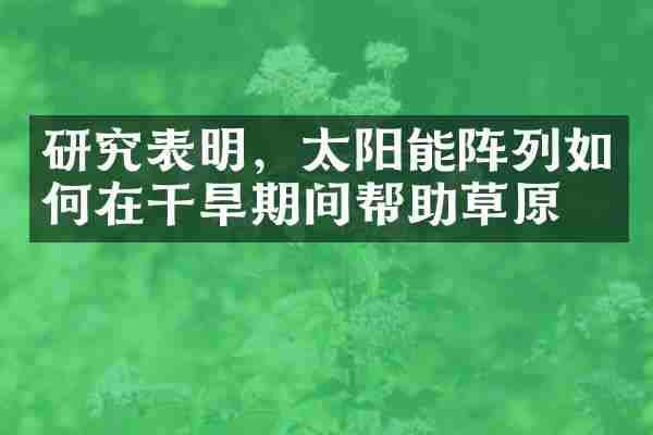 研究表明，太阳能阵列如何在干旱期间帮助草原