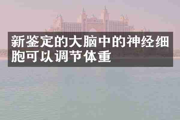 新鉴定的大脑中的神经细胞可以调节体重