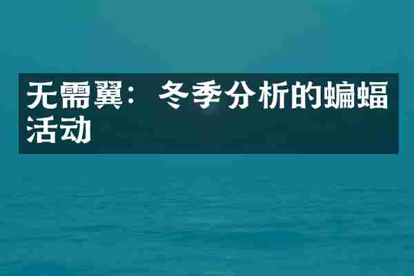 无需翼：冬季分析的蝙蝠活动
