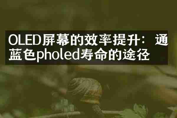 OLED屏幕的效率提升：通往蓝色pholed寿命的途径