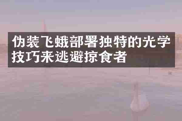 伪装飞蛾部署独特的光学技巧来逃避掠食者