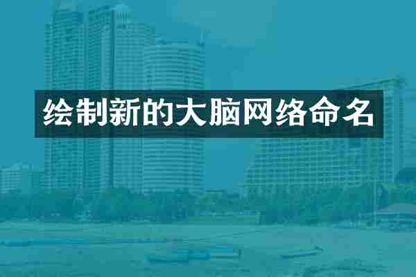 绘制新的大脑网络命名