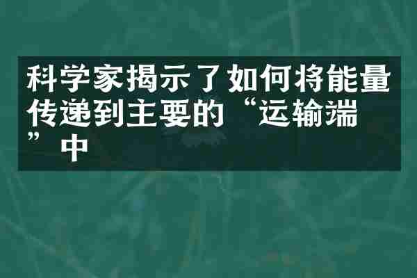 科学家揭示了如何将能量传递到主要的&ldquo;运输端口&rdquo;中