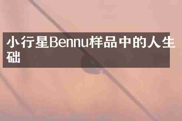 小行星Bennu样品中的人生基础