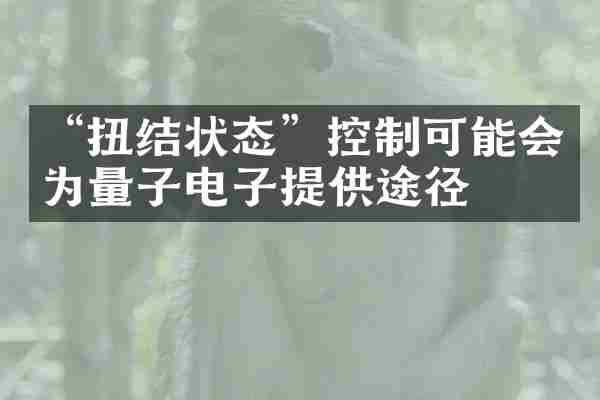 &ldquo;扭结状态&rdquo;控制可能会为量子电子提供途径