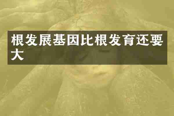 根发展基因比根发育还要大