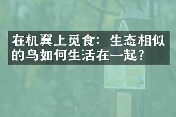 在机翼上觅食：生态相似的鸟如何生活在一起？