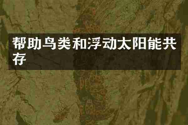 帮助鸟类和浮动太阳能共存