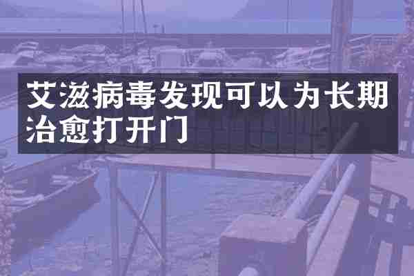 艾滋病毒发现可以为长期治愈打开门