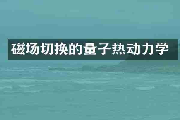 磁场切换的量子热动力学