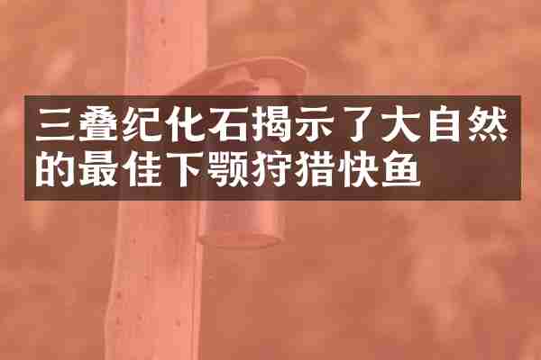 三叠纪化石揭示了大自然的最佳下颚狩猎快鱼