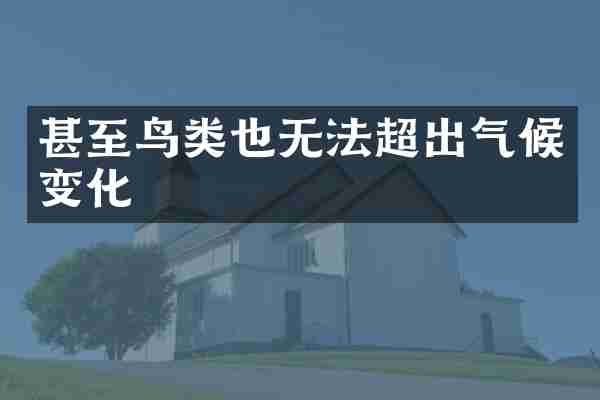 甚至鸟类也无法超出气候变化