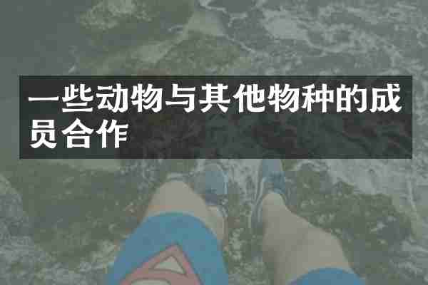一些动物与其他物种的成员合作