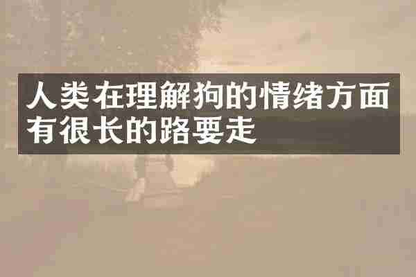 人类在理解狗的情绪方面有很长的路要走