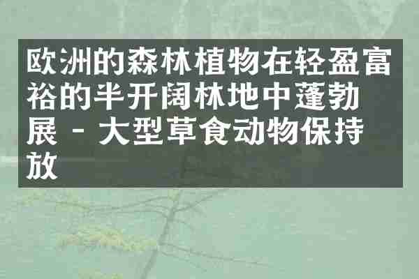 欧洲的森林植物在轻盈富裕的半开阔林地中蓬勃发展 - 大型草食动物保持开放