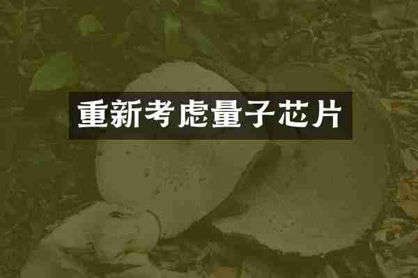 重新考虑量子芯片