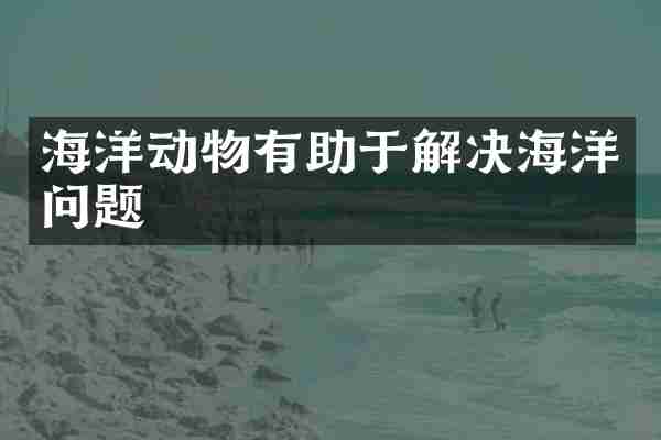 海洋动物有助于解决海洋问题