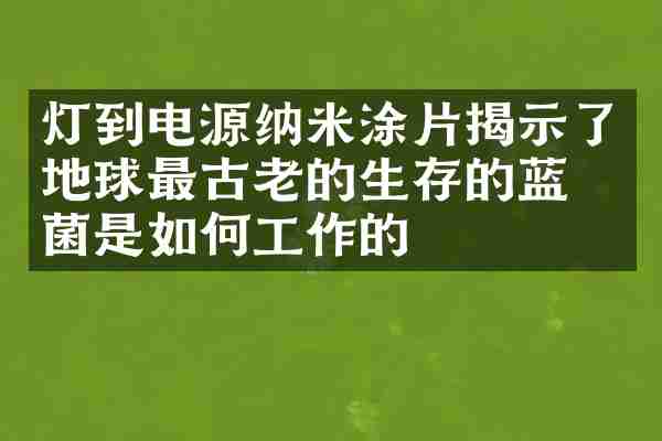 灯到电源纳米涂片揭示了地球最古老的生存的蓝细菌是如何工作的