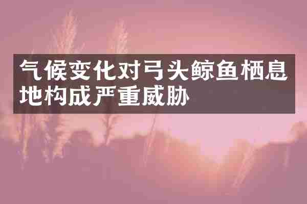 气候变化对弓头鲸鱼栖息地构成严重威胁