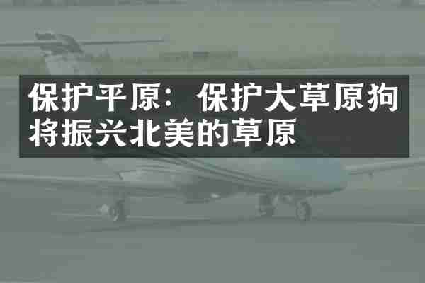 保护平原：保护大草原狗将振兴北美的草原