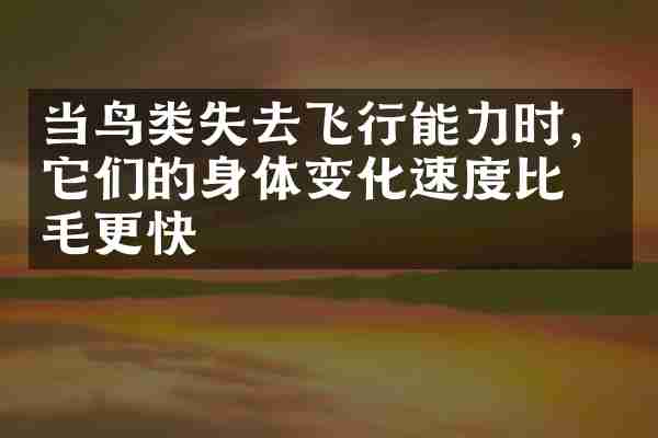 当鸟类失去飞行能力时，它们的身体变化速度比羽毛更快