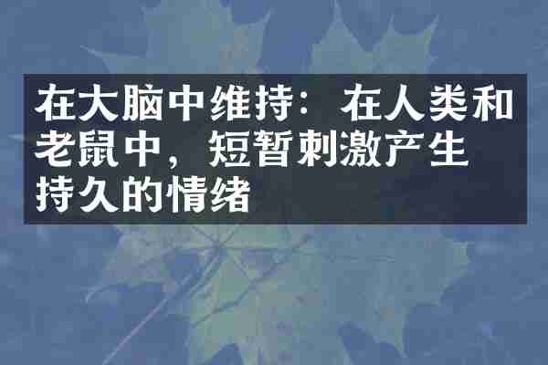 在大脑中维持：在人类和老鼠中，短暂刺激产生了持久的情绪