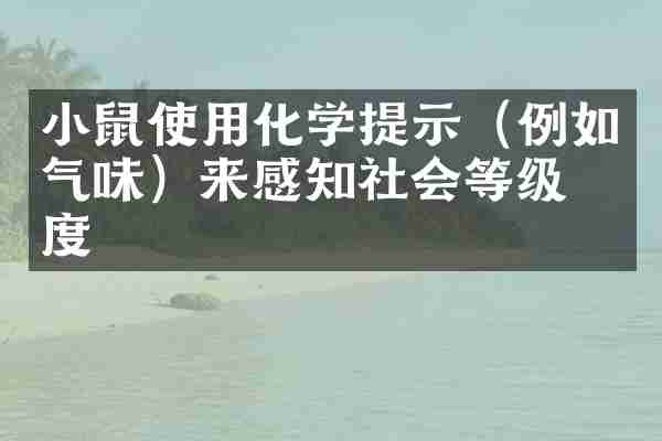 小鼠使用化学提示（例如气味）来感知社会等级制度