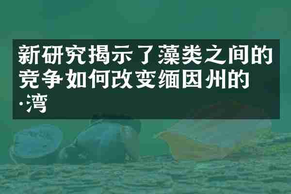 新研究揭示了藻类之间的竞争如何改变缅因州的海湾