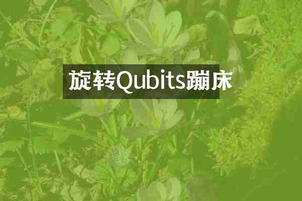旋转Qubits蹦床
