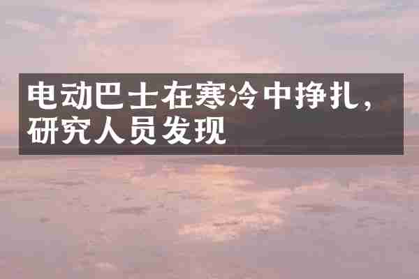 电动巴士在寒冷中挣扎，研究人员发现