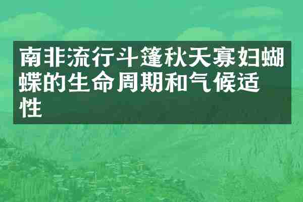南非流行斗篷秋天寡妇蝴蝶的生命周期和气候适应性