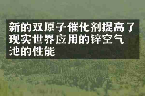 新的双原子催化剂提高了现实世界应用的锌空气电池的性能
