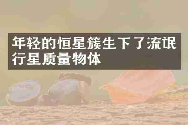 年轻的恒星簇生下了流氓行星质量物体