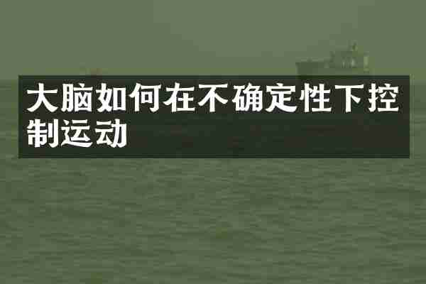 大脑如何在不确定性下控制运动