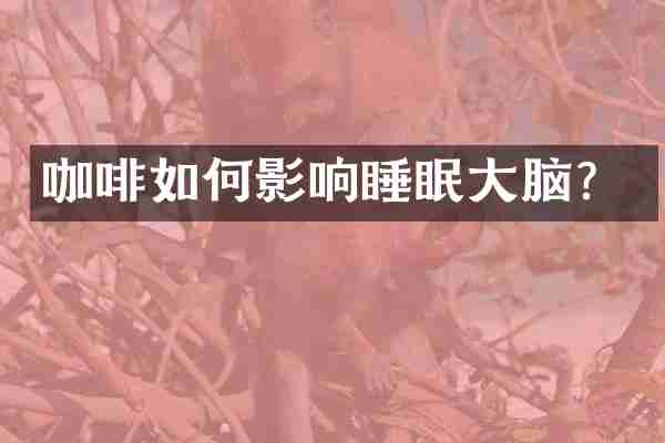 咖啡如何影响睡眠大脑？