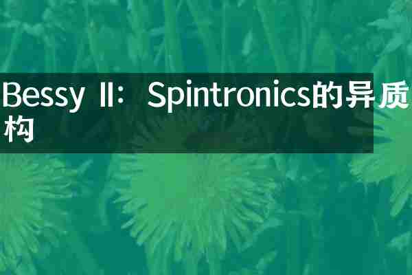 Bessy II：Spintronics的异质结构