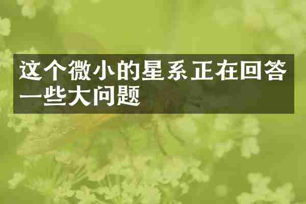 这个微小的星系正在回答一些大问题