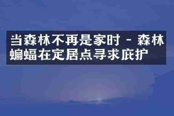 当森林不再是家时 - 森林蝙蝠在定居点寻求庇护