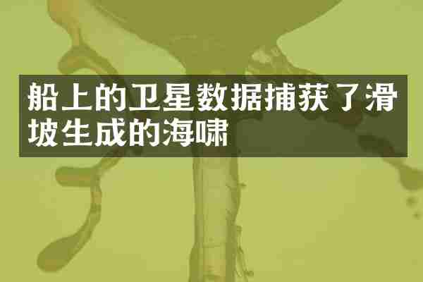船上的卫星数据捕获了滑坡生成的海啸