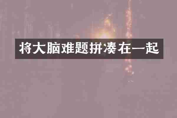 将大脑难题拼凑在一起