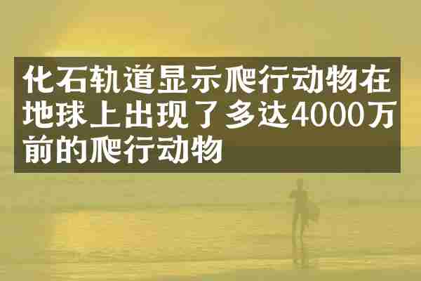 化石轨道显示爬行动物在地球上出现了多达4000万年前的爬行动物