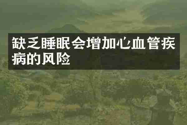 缺乏睡眠会增加心血管疾病的风险