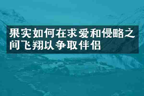 果实如何在求爱和侵略之间飞翔以争取伴侣