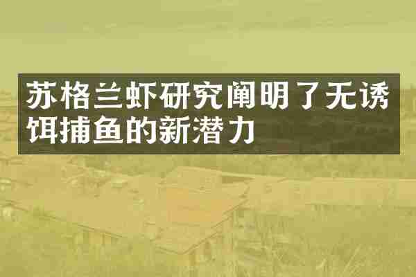 苏格兰虾研究阐明了无诱饵捕鱼的新潜力