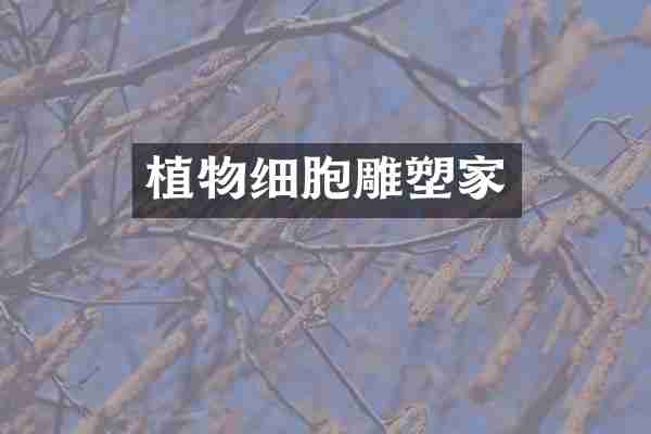 植物细胞雕塑家