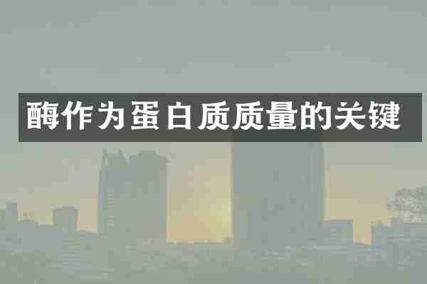 酶作为蛋白质质量的关键