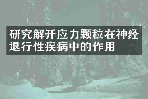 研究解开应力颗粒在神经退行性疾病中的作用