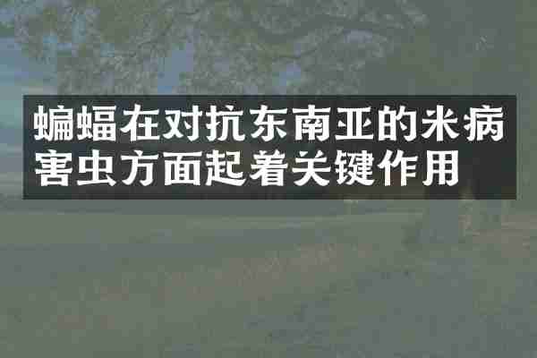 蝙蝠在对抗东南亚的米病害虫方面起着关键作用