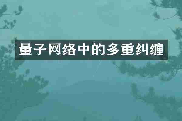 量子网络中的多重纠缠