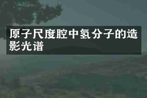 原子尺度腔中氢分子的造影光谱